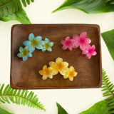 Plumeria Triple Claw Clip 7